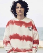 Finn Wolfhard : finn-wolfhard-1602355356.jpg