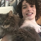 Finn Wolfhard : finn-wolfhard-1620350283.jpg