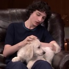 Finn Wolfhard : finn-wolfhard-1652297799.jpg