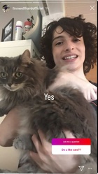 Finn Wolfhard : finn-wolfhard-1658369503.jpg