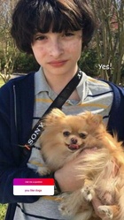 Finn Wolfhard : finn-wolfhard-1658446817.jpg