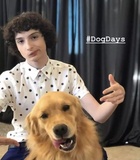 Finn Wolfhard : finn-wolfhard-1663358163.jpg