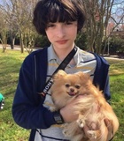 Finn Wolfhard : finn-wolfhard-1663358167.jpg