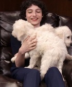 Finn Wolfhard : finn-wolfhard-1671582311.jpg