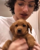 Finn Wolfhard : finn-wolfhard-1681833158.jpg