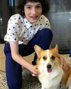 Finn Wolfhard : finn-wolfhard-1684942642.jpg