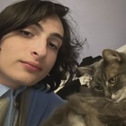 Finn Wolfhard : finn-wolfhard-1714947012.jpg