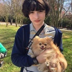 Finn Wolfhard : finn-wolfhard-1736527219.jpg