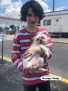 Photo of Finn Wolfhard
