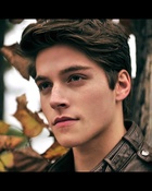 Froy : froy-1676183041.jpg