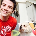 Grant Gustin : grant-gustin-1423196101.jpg