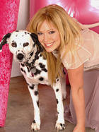 Hilary Duff : TI4U_u1136915969.jpg