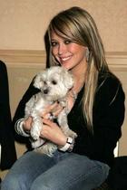 Hilary Duff : TI4U_u1150300407.jpg