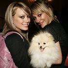 Hilary Duff : TI4U_u1257885038.jpg