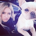 Hilary Duff : hilary-duff-1430946917.jpg