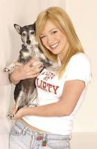 Hilary Duff : hillary_duff_1241200453.jpg