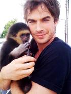 Ian Somerhalder : ian-somerhalder-1365145530.jpg