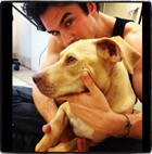 Ian Somerhalder : ian-somerhalder-1391528141.jpg