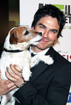 Ian Somerhalder : ian-somerhalder-1391528156.jpg