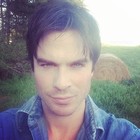 Ian Somerhalder : ian-somerhalder-1397339471.jpg