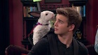 Jack Griffo : jack-griffo-1442304128.jpg