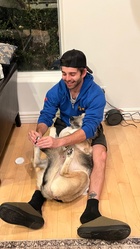 Jack Griffo : jack-griffo-1770218513.jpg