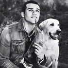 Jacob Artist in General Pictures, Uploaded by: Guest