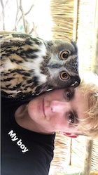 Jake Paul : jake-paul-1503619921.jpg