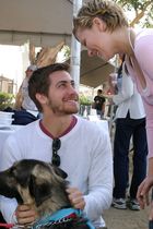 Jake Gyllenhaal : TI4U1403714135.jpg