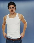 Jake Gyllenhaal : jake_gyllenhaal_1291784486.jpg