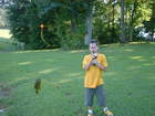 Jake Thomas : JT-Knoxfish5.jpg