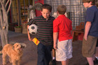 Jake Thomas : jto-soccerdog2_051.jpg