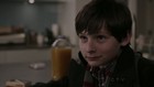 Jared Gilmore : jared-gilmore-1324440515.jpg