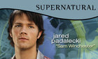 Jared Padalecki : TI4U_u1136748086.jpg