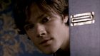 Jared Padalecki : jared-padalecki-1317924869.jpg