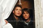 Jensen Ackles : TI4U_u1137509680.jpg