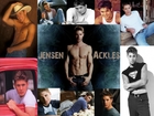 Jensen Ackles : jensen-ackles-1322995856.jpg