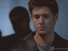 Jensen Ackles : jensen_ackles_1215546446.jpg