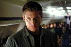 Jensen Ackles : jensen_ackles_1220545843.jpg