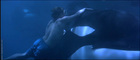 Jason James Richter : jjr-freewilly2_060.jpg