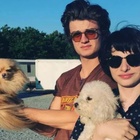 Joe Keery in General Pictures, Uploaded by: bluefox4000