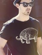 Joe Jonas : joe-jonas-1385481582.jpg