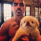 Joe Jonas : joe-jonas-1387999020.jpg