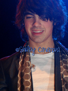 Joe Jonas : joejonas_1231435318.jpg