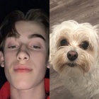 Johnny Orlando : johnny-orlando-1561163329.jpg