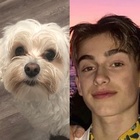 Johnny Orlando : johnny-orlando-1561163351.jpg