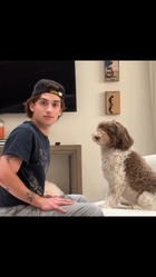 Johnny Orlando : johnny-orlando-1744059950.jpg