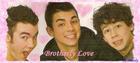 Jonas Brothers : jonas_brothers_1202923669.jpg