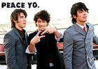 Jonas Brothers : jonas_brothers_1203708662.jpg