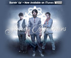 Jonas Brothers : jonas_brothers_1214701453.jpg